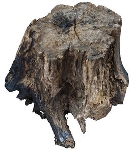 burned wood