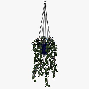 3D Hanging Pot with Plant and Flowers model