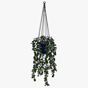 Hanging Pot with Plant and Flowers