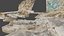 11 Modello di spiaggia mediterranea scansionato in 3D Modello 3D
