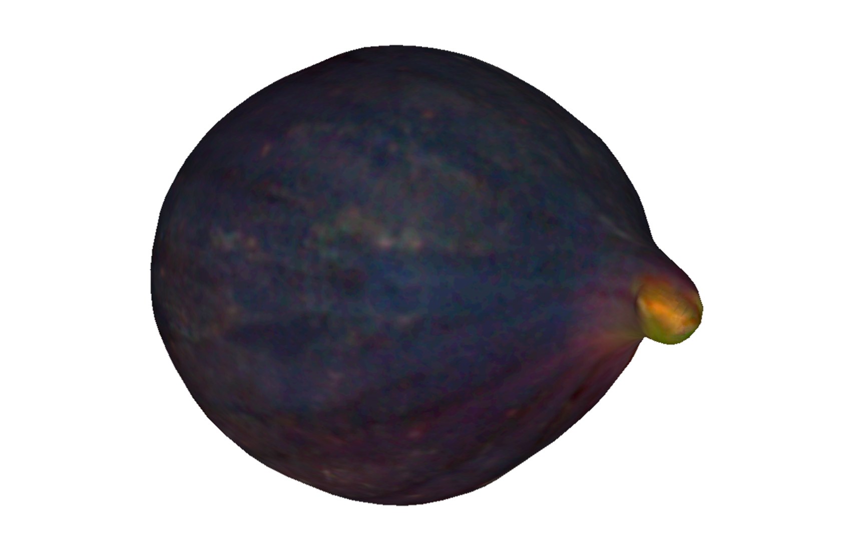 3D fig scan real model - TurboSquid 1627914
