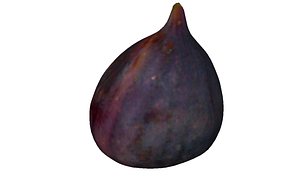 Fig