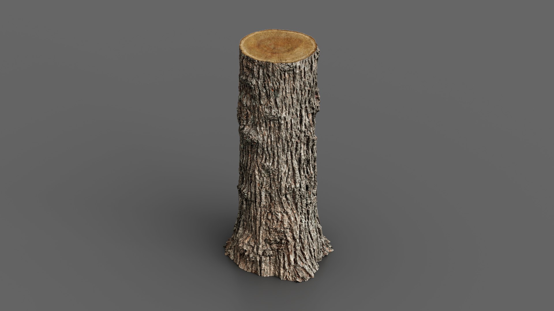 Winged Elm stump PBR 8K 3D model https://p.turbosquid.com/ts-thumb/3c/nkpwQD/Ng/elm_stump03/jpg/1781247734/1920x1080/fit_q87/d9542929cc4f2c441e80ac716276bc9883201ff0/elm_stump03.jpg