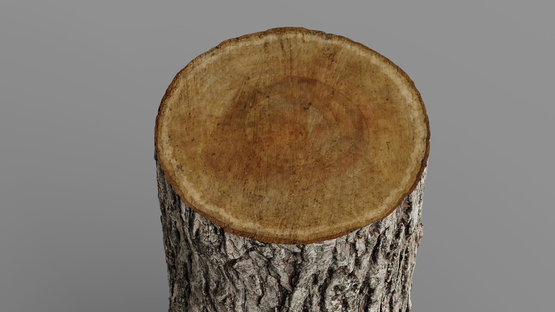 Winged Elm stump PBR 8K 3D model https://p.turbosquid.com/ts-thumb/3c/nkpwQD/Oh/elm_fullquality_017/jpg/1781247766/1920x1080/fit_q87/30fca203a7205ff60f0ca34fbc9470a13133d3da/elm_fullquality_017.jpg