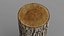 Winged Elm stump PBR 8K