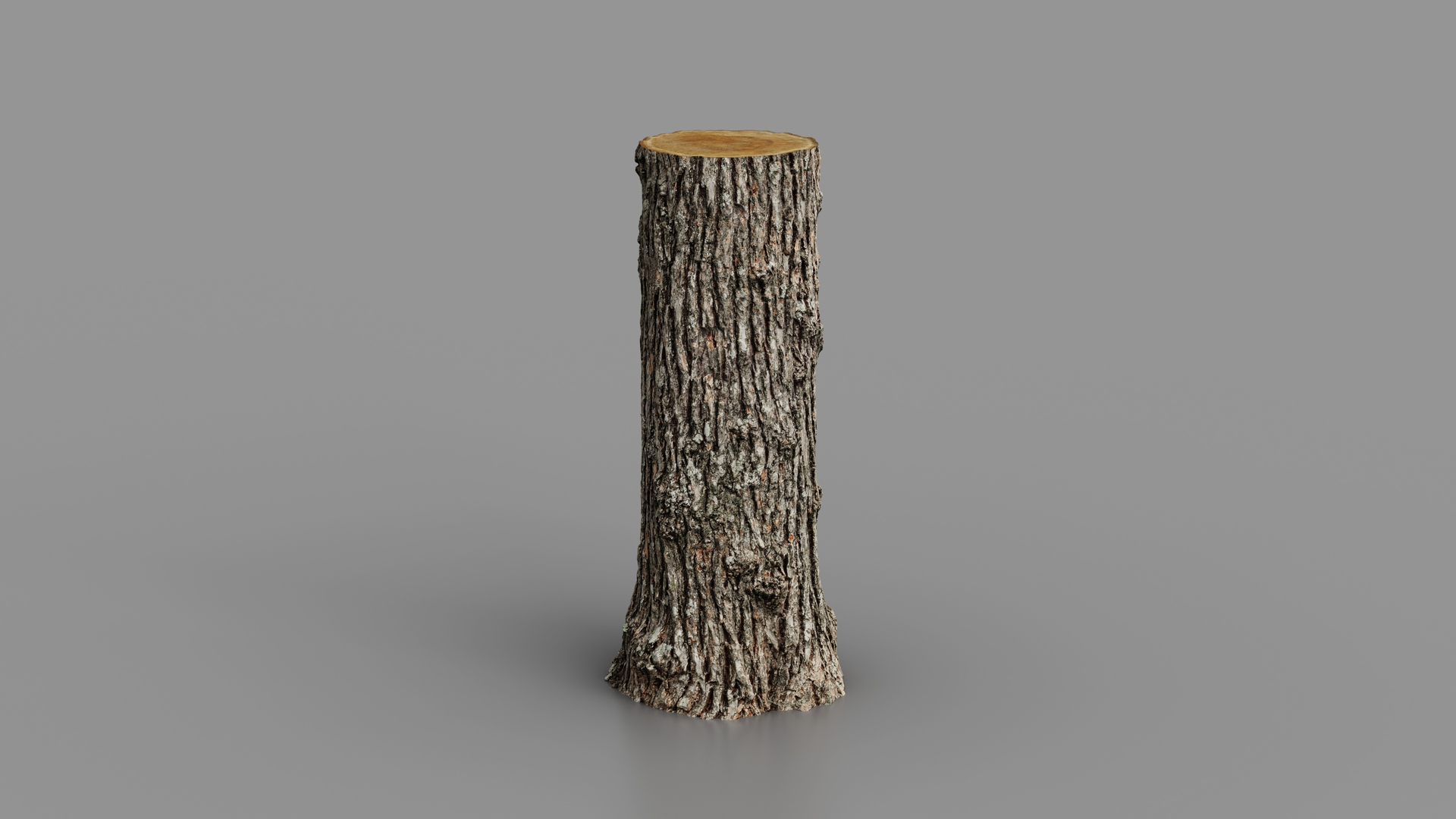 Winged Elm stump PBR 8K 3D model https://p.turbosquid.com/ts-thumb/3c/nkpwQD/YP/elm_log_fullquality_001/jpg/1781241043/1920x1080/turn_fit_q99/33fd34b8a5e763b7fba5bfa71db9afea16031550/elm_log_fullquality_001-1.jpg