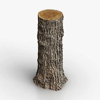 Winged Elm stump PBR 8K