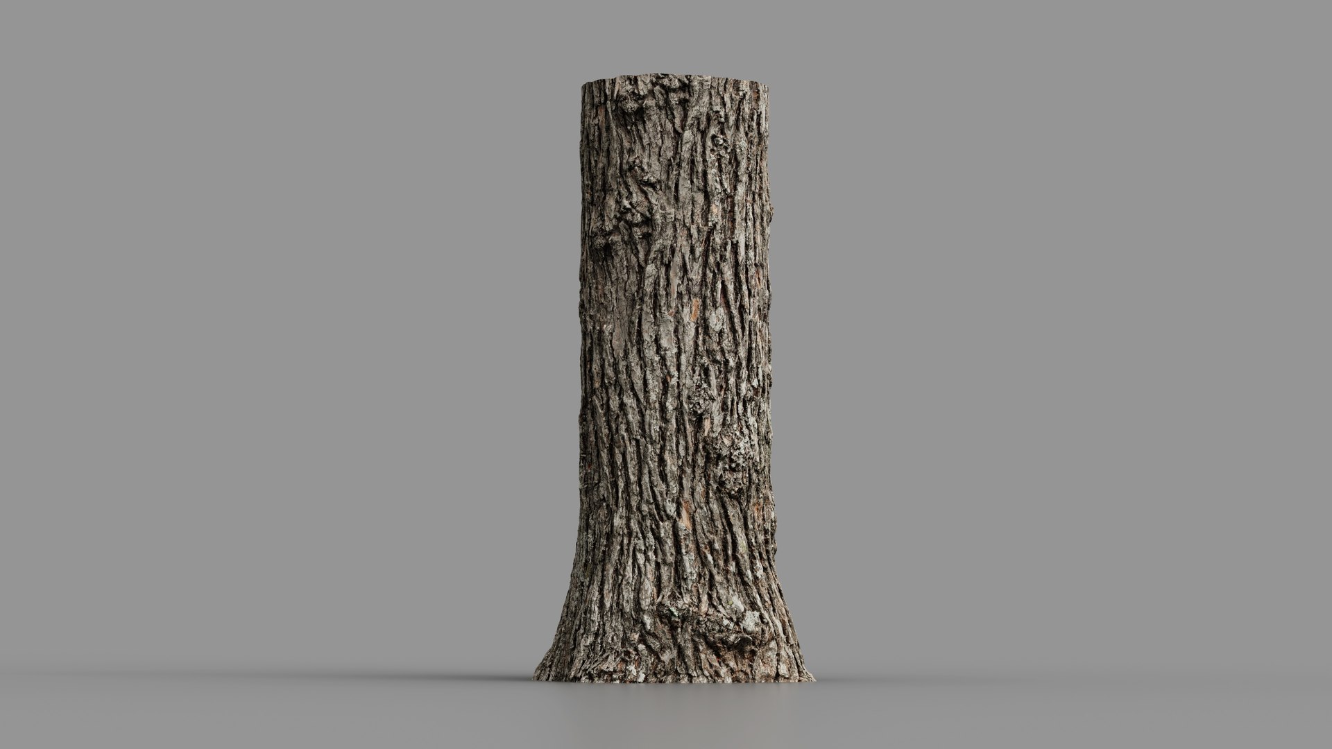 Winged Elm stump PBR 8K 3D model https://p.turbosquid.com/ts-thumb/3c/nkpwQD/kx/elm_fullquality_015/jpg/1781247764/1920x1080/fit_q87/197e3884ddb8921d5776d703258b647100c04102/elm_fullquality_015.jpg