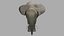 3D Elephant OBJ model