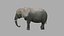 3D Elephant OBJ model