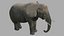 3D Elephant OBJ model