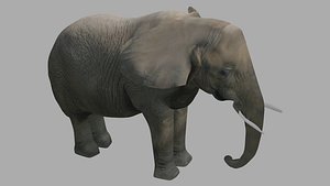 Elephant OBJ