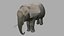 3D Elephant OBJ model