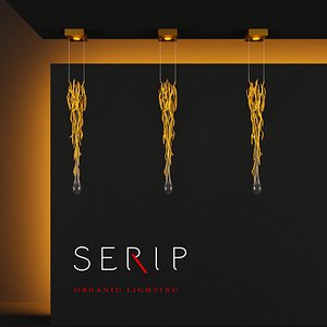 serip aqua 3d max