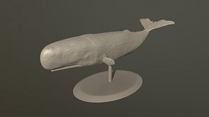 whale printing 3D model