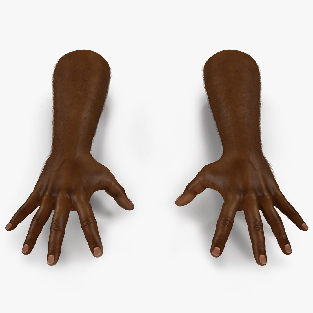African Man Hands with Fur Pose 4 3D model preview