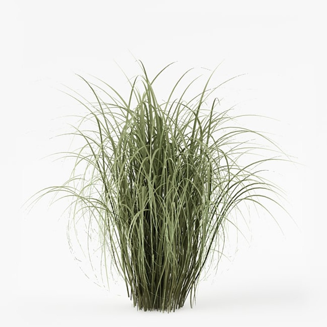 3d model bush https://p.turbosquid.com/ts-thumb/3d/dhLDf8/2rEoaYHD/a6.bmp5b2543776ef54a99bbe36dc8a848d35aoriginal/jpg/1423673912/1920x1080/fit_q87/9701bf72419ac576468b665ae9eae832a6be414f/a6.bmp5b2543776ef54a99bbe36dc8a848d35aoriginal.jpg