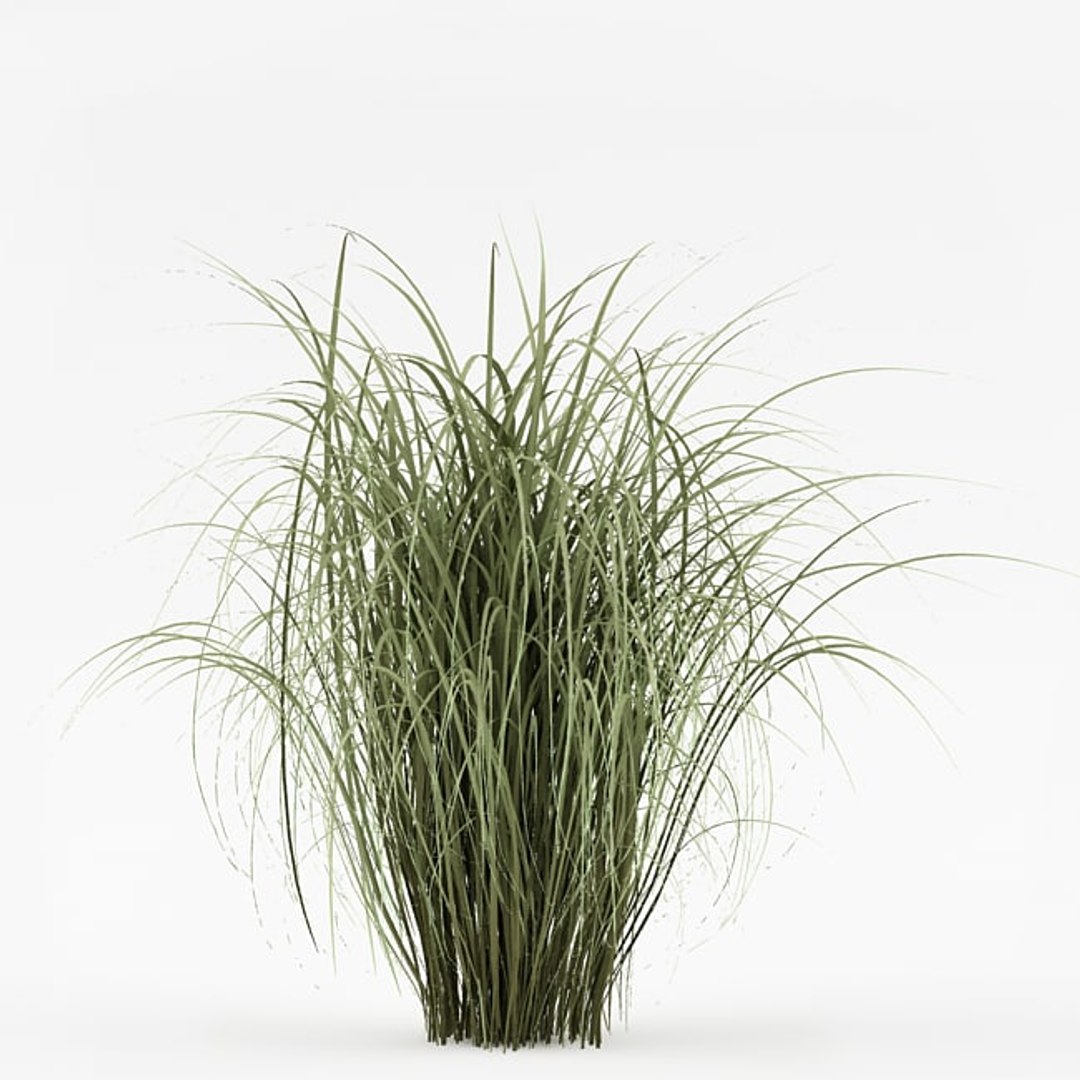 3d model bush https://p.turbosquid.com/ts-thumb/3d/dhLDf8/DKQhCPlS/a1.bmp7d1692a582684a16aafe03207c1db2a6original/jpg/1423673912/1920x1080/fit_q87/fee10c2dc516edad293f0fae8f03be46f85d6c26/a1.bmp7d1692a582684a16aafe03207c1db2a6original.jpg
