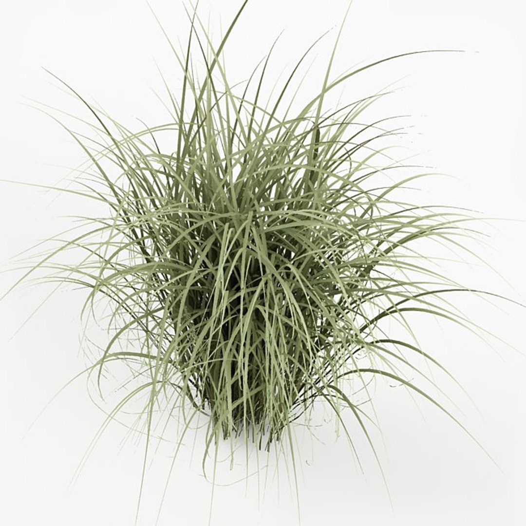 3d model bush https://p.turbosquid.com/ts-thumb/3d/dhLDf8/H57ZZnBo/a5.bmp845bb4212ace4a5d887cbe326f718735original/jpg/1423673912/1920x1080/fit_q87/00ad21bbb8c310b9beca89df88029ade79aaf6cb/a5.bmp845bb4212ace4a5d887cbe326f718735original.jpg