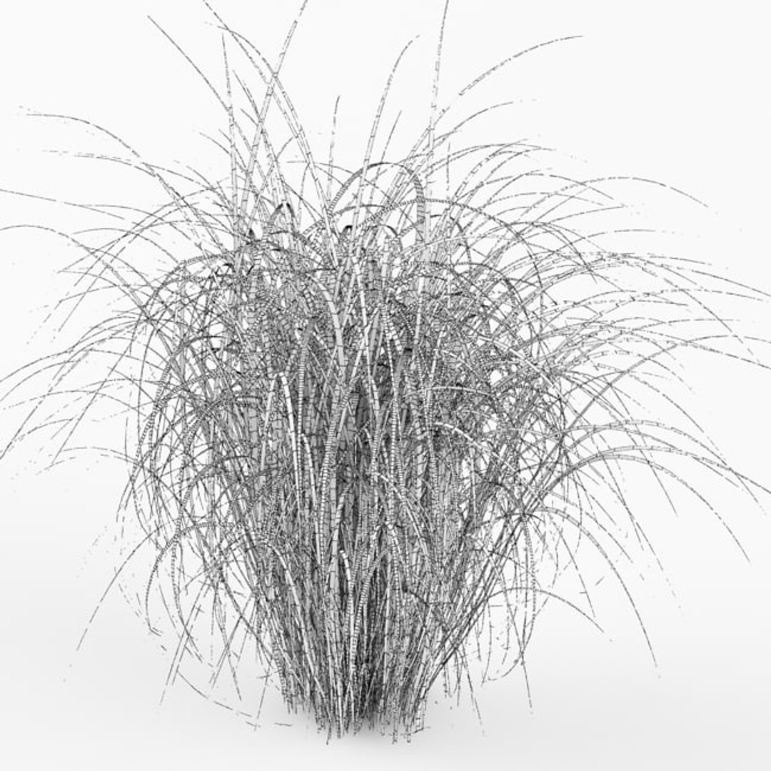 3d model bush https://p.turbosquid.com/ts-thumb/3d/dhLDf8/wm22ILaw/b1.bmp7d1cf326b12f46fda5e1b405afbb0828original/jpg/1423673912/1920x1080/fit_q87/ad87ad058c08ae77c5ad2cc56a57335662fc28da/b1.bmp7d1cf326b12f46fda5e1b405afbb0828original.jpg