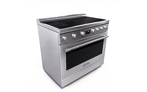3D Frigidaire 36induct