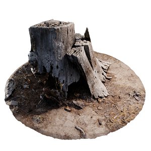 rotten stump 3D model