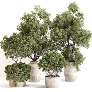 3D outdoor Plant Set 012 model