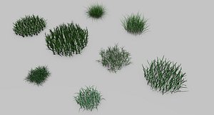 3D poa grass