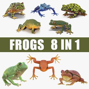 Frogs 3D Models Collection