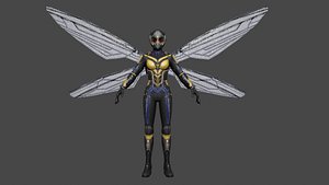 Wasp model