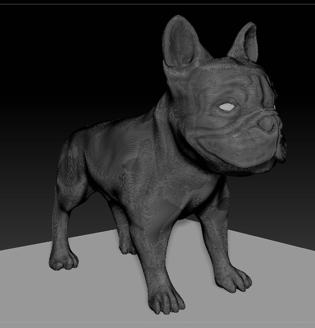 3D French Bulldog Model - TurboSquid 1694408