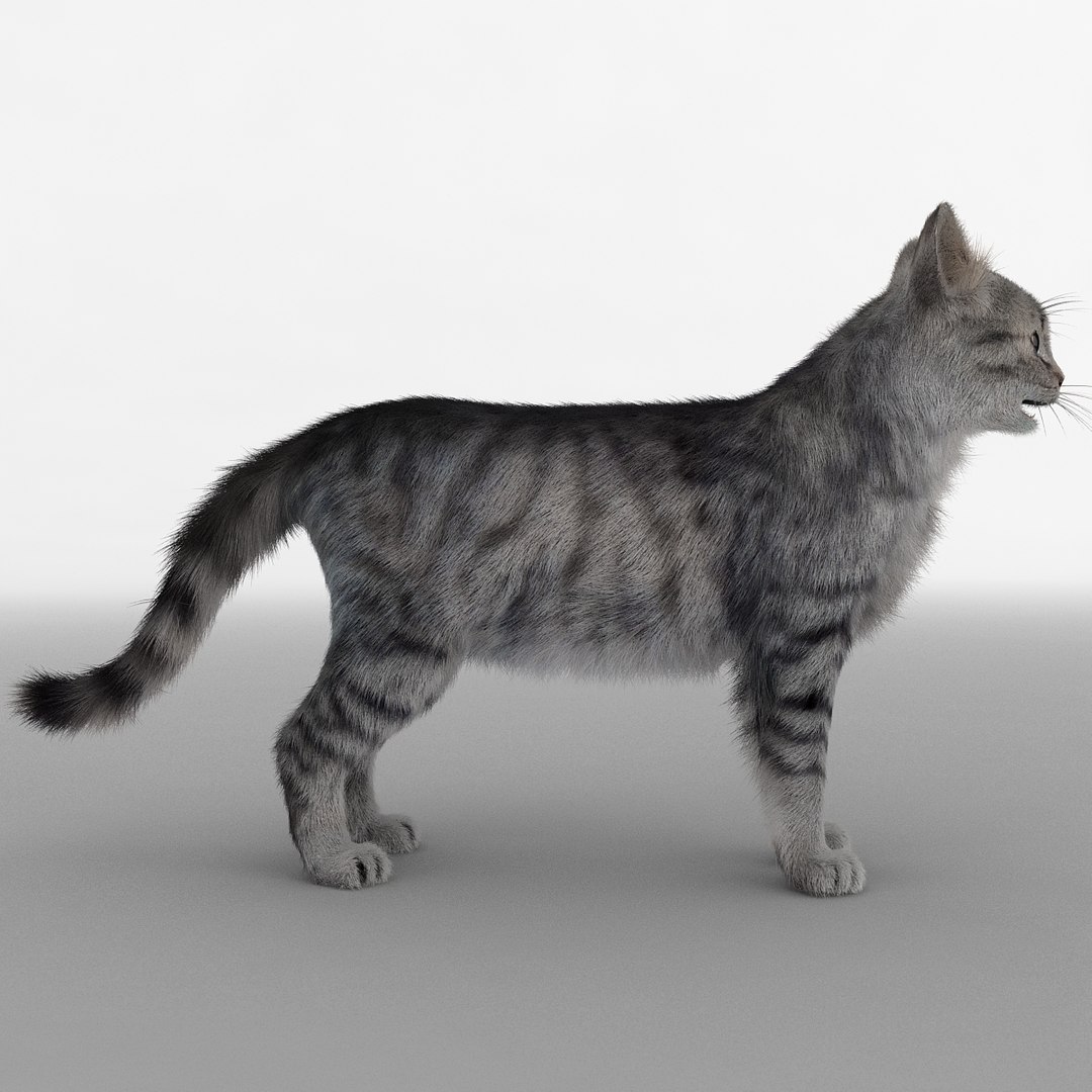 3d model cat 3 fur
