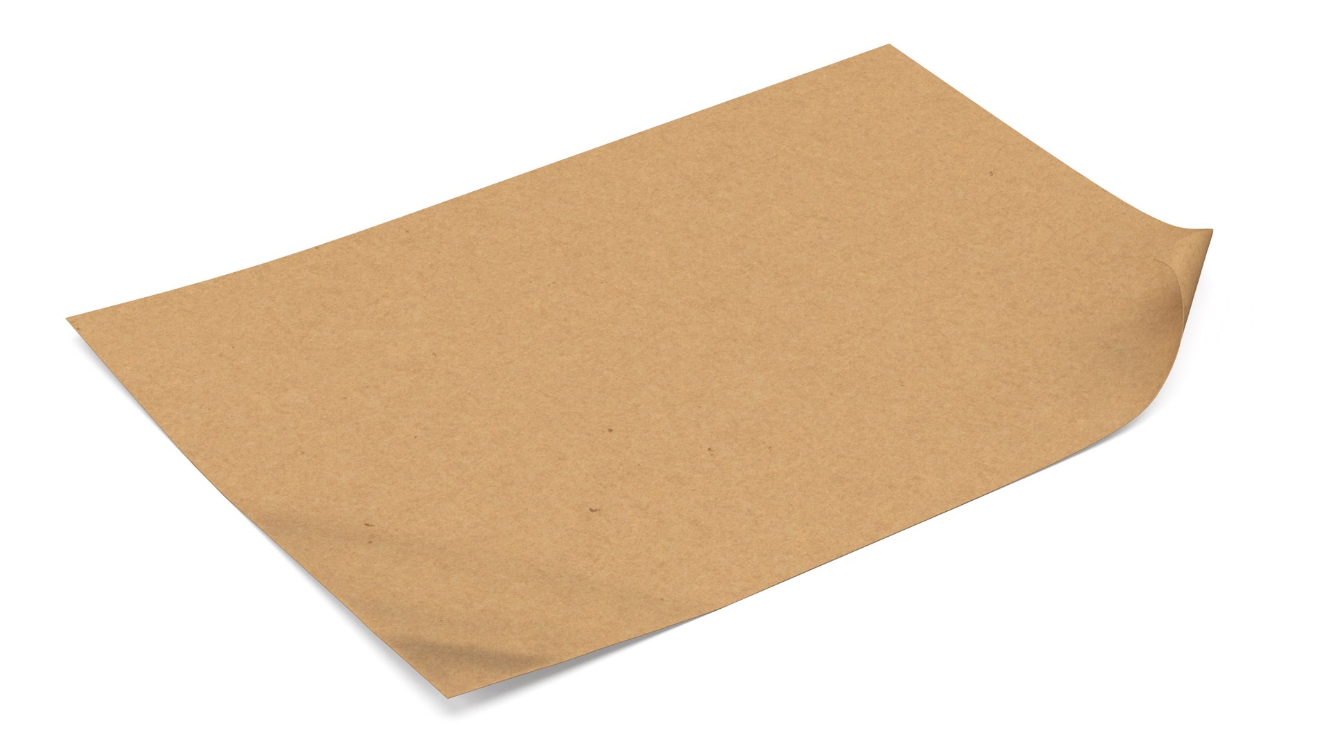 3D Model Brown Paper With Curled Corners - TurboSquid 1993732