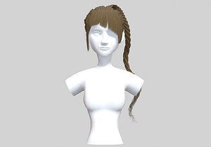 Braid Female Hairstyle