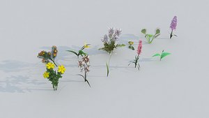 rare flowers 3D