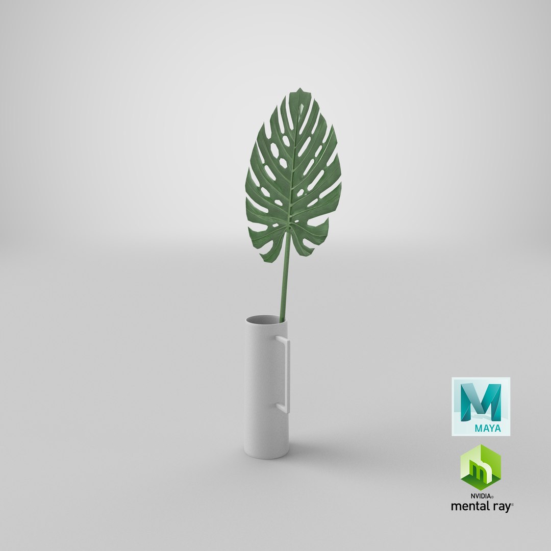realistic faux monstera leaf 3D model https://p.turbosquid.com/ts-thumb/3e/yDTL27/EZIUGtR9/stemcell_maya_mental_ray_render/png/1579729021/1920x1080/fit_q87/d745a62d0e4a2059d22cdaf6e71fdc847c969f10/stemcell_maya_mental_ray_render.jpg