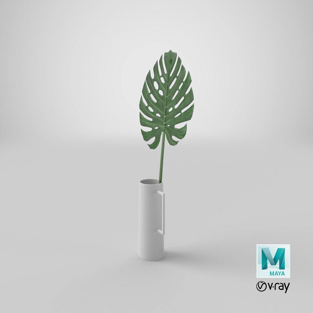 realistic faux monstera leaf 3D model https://p.turbosquid.com/ts-thumb/3e/yDTL27/zJMEfzSr/stemcell_maya_vray_render/png/1579729024/1920x1080/fit_q87/1503c75755c44e77fe1fadc37252620400d31243/stemcell_maya_vray_render.jpg