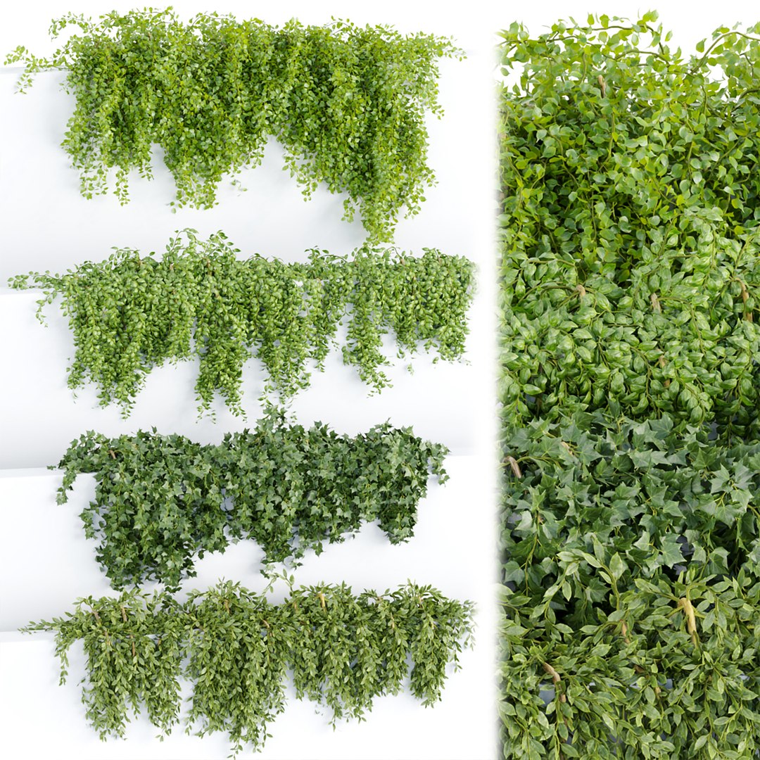 3D Hanging wall plants collection https://p.turbosquid.com/ts-thumb/3f/2TMIvP/5U/b/jpg/1695843572/1920x1080/fit_q87/46ade03dabe3f38c3e0d1d4e026c2fecfa6a2dcd/b.jpg