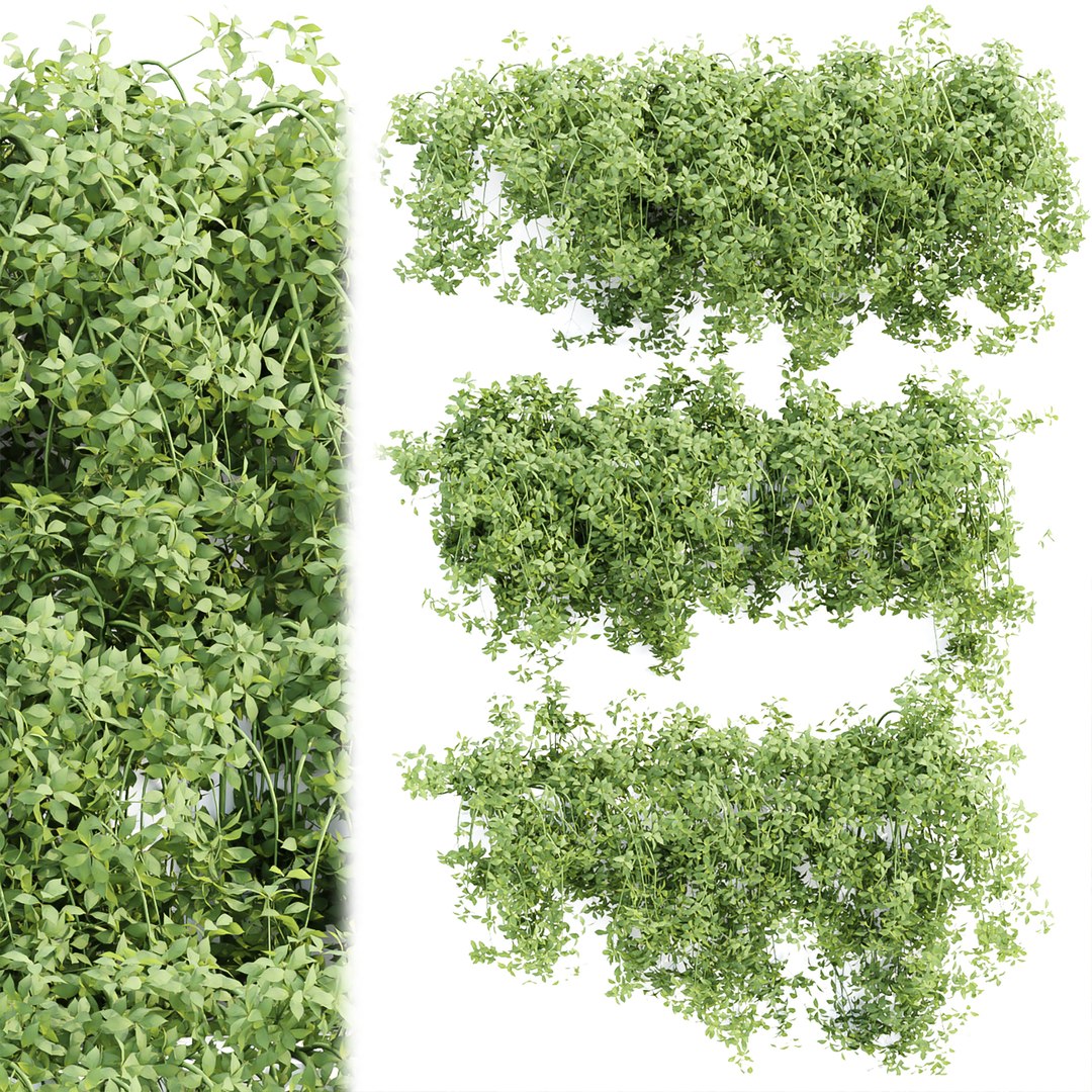 3D Hanging wall plants collection https://p.turbosquid.com/ts-thumb/3f/2TMIvP/My/h/jpg/1695843575/1920x1080/fit_q87/8089a01fb6756445f62c3975d3a96bea31e71b85/h.jpg
