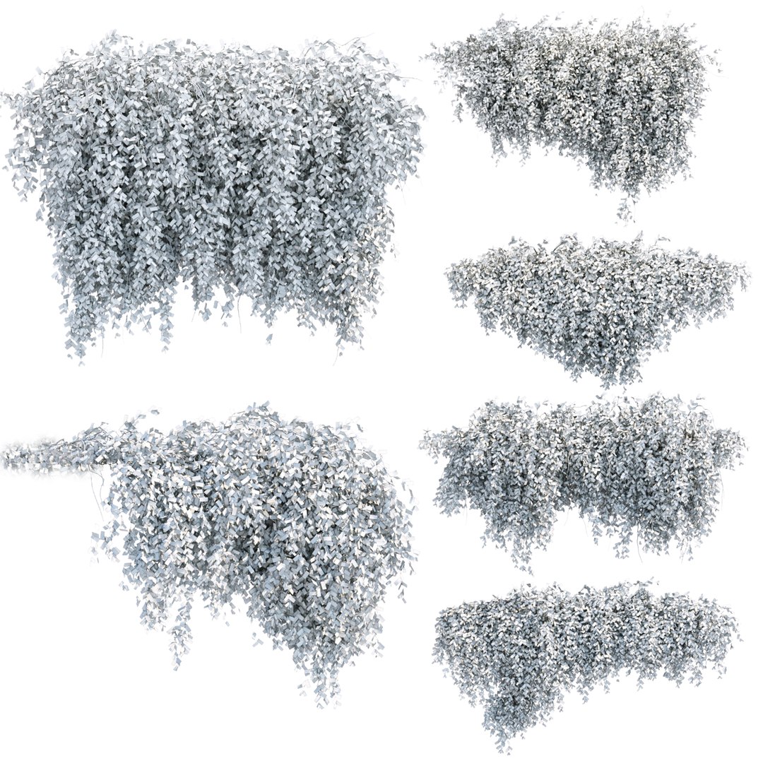 3D Hanging wall plants collection https://p.turbosquid.com/ts-thumb/3f/2TMIvP/Tm/preview08/jpg/1688916992/1920x1080/fit_q87/3a4160efe395a817a44812b0970f459819c6cfaa/preview08.jpg
