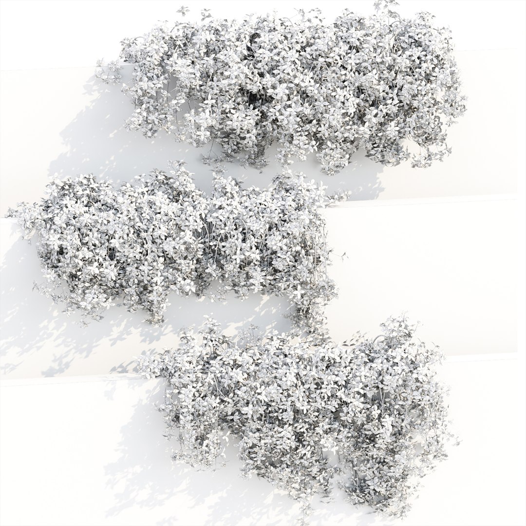 3D Hanging wall plants collection https://p.turbosquid.com/ts-thumb/3f/2TMIvP/aO/5/jpg/1677151101/1920x1080/fit_q87/6fd0e174c440513a6f5ee78784e22fba6f4bc78c/5.jpg