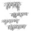 Collezione di piante da parete