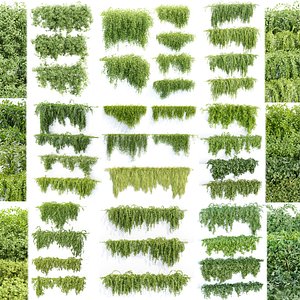 3D Hanging wall plants collection
