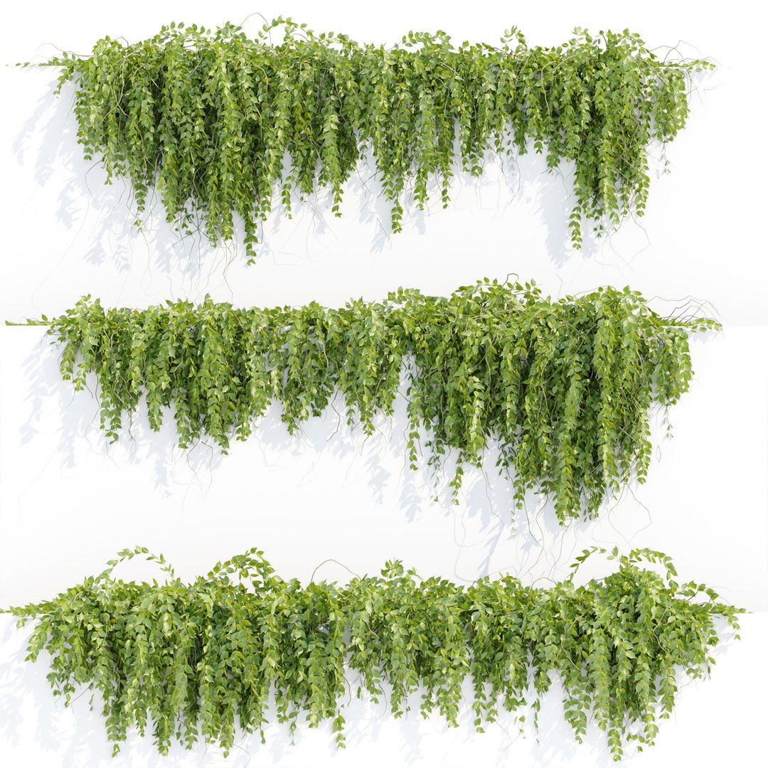 3D Hanging wall plants collection https://p.turbosquid.com/ts-thumb/3f/2TMIvP/ss/e/jpg/1695843574/1920x1080/fit_q87/8a27bfdf573d9d57bbd4953fc810833903ed2cf5/e.jpg