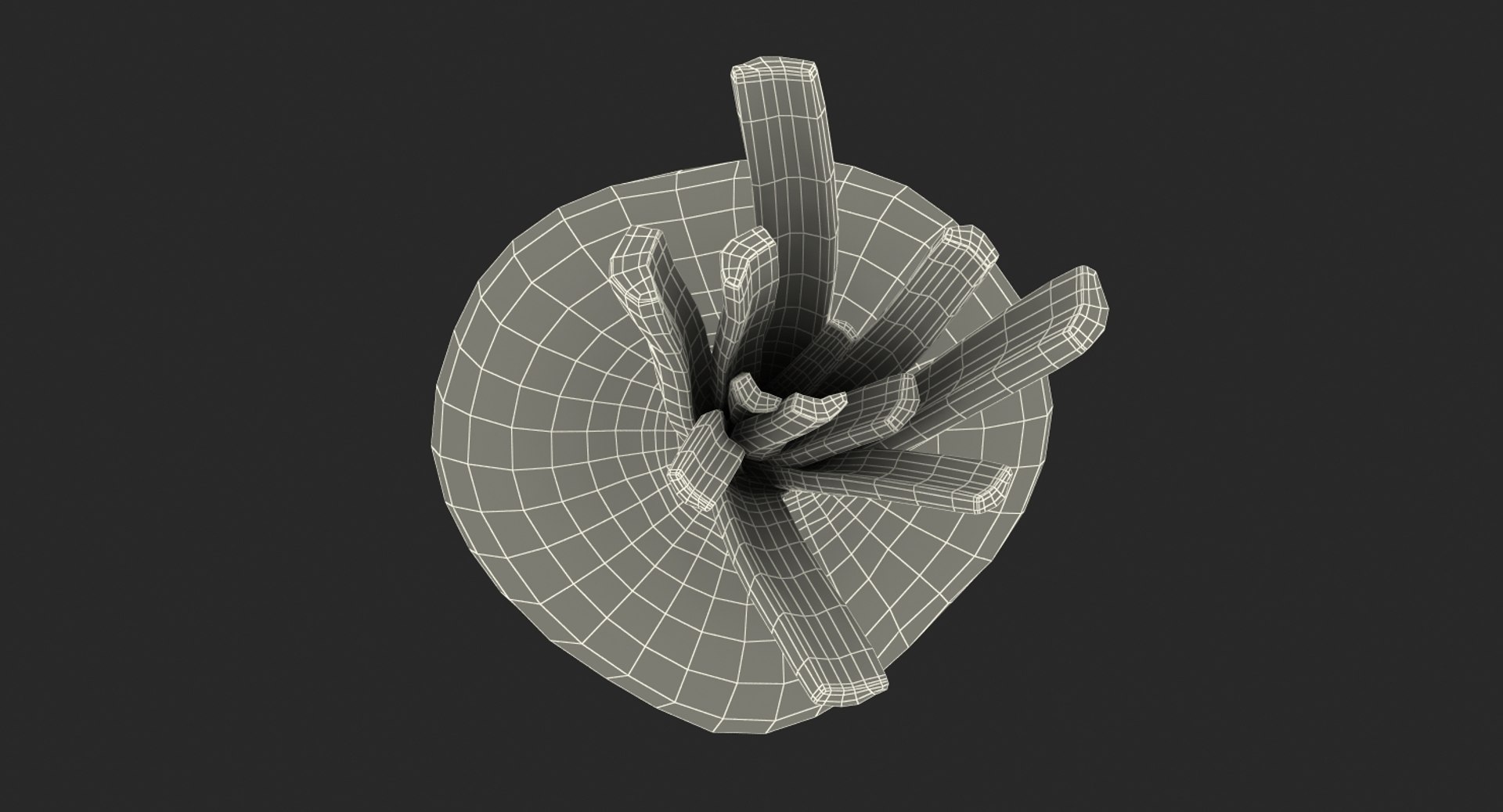 3D beetroot realistic model https://p.turbosquid.com/ts-thumb/3f/8M2eLG/MVw9Mppj/beetrootcollection3dmodel060/jpg/1509215923/1920x1080/fit_q87/53e65ff3b47a1b681c5b1d1e51febe95035d9a7c/beetrootcollection3dmodel060.jpg