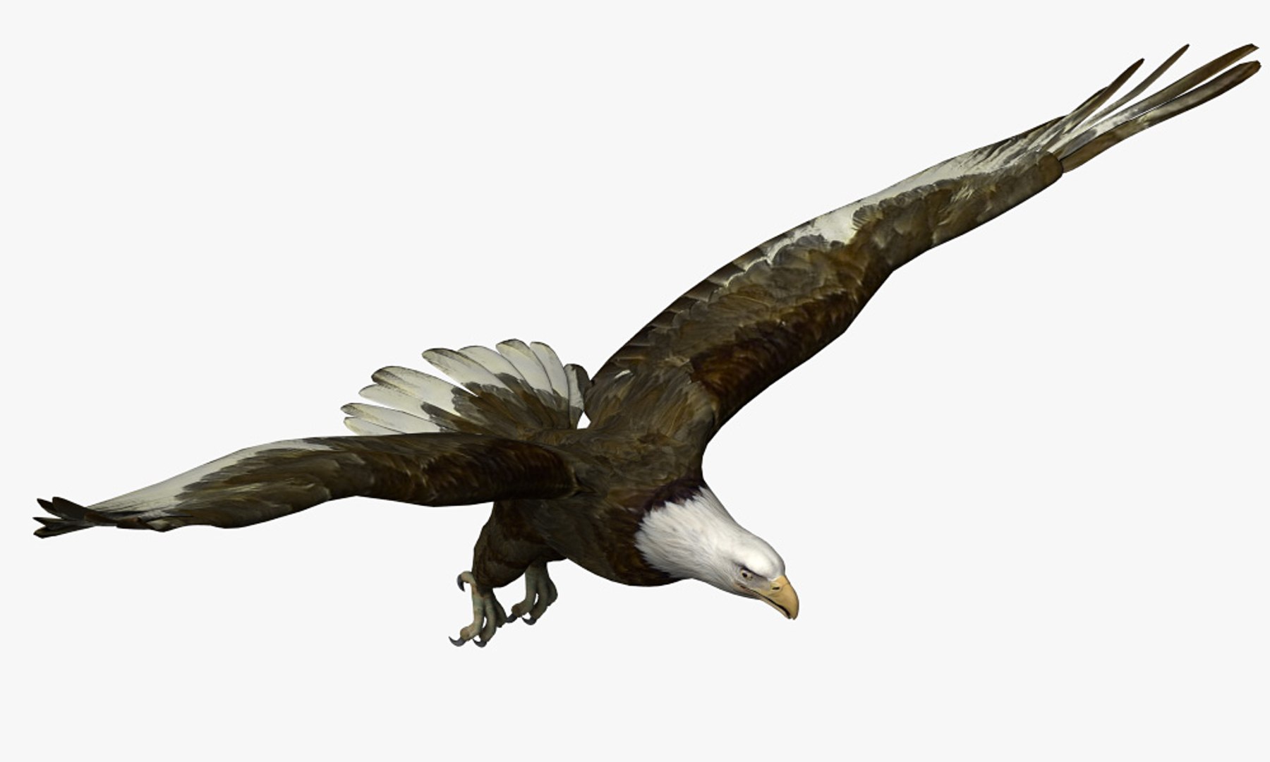 3D eagle bird animal model https://p.turbosquid.com/ts-thumb/3f/9kXvdI/NpVA0zWX/eagle05/jpg/1567514691/1920x1080/fit_q87/a1e4a8cb5681931253b264388c974b22b4bdf133/eagle05.jpg