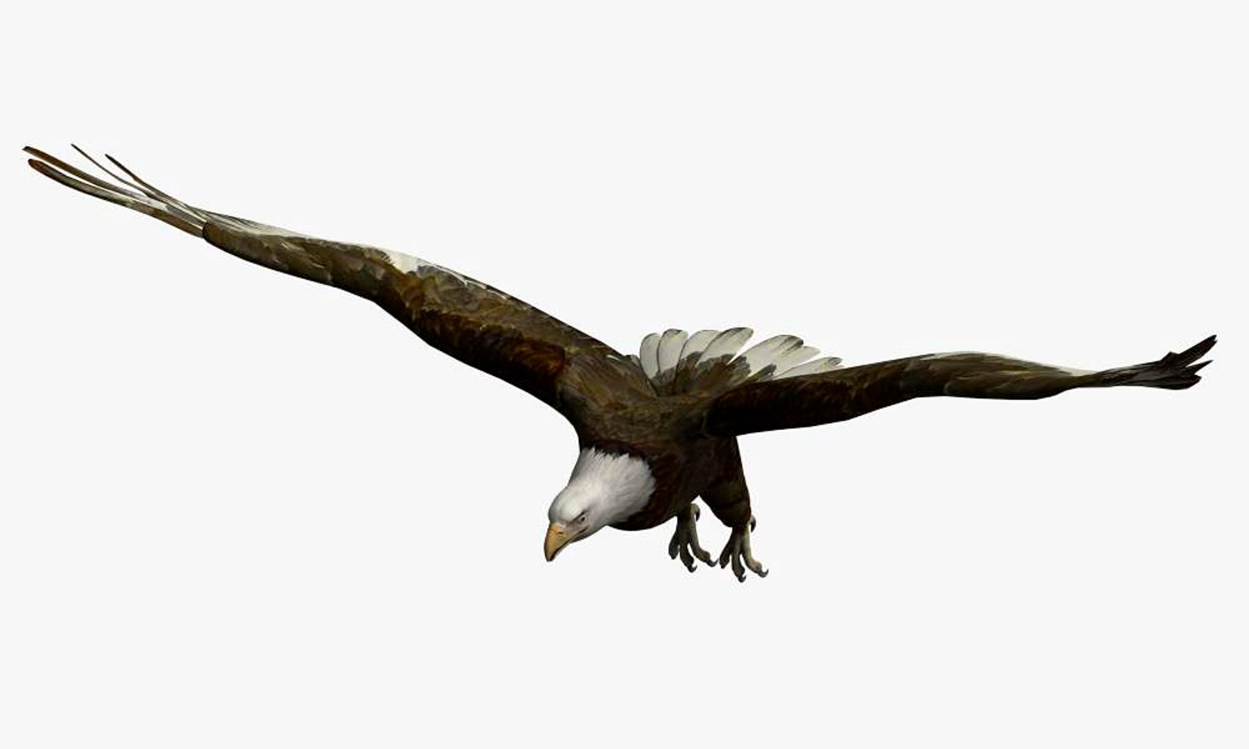 3D eagle bird animal model https://p.turbosquid.com/ts-thumb/3f/9kXvdI/YTdLpCAd/eagle02/jpg/1567514691/1920x1080/fit_q87/411415d823c0087b237fb7f778c3d5dec385e1c0/eagle02.jpg