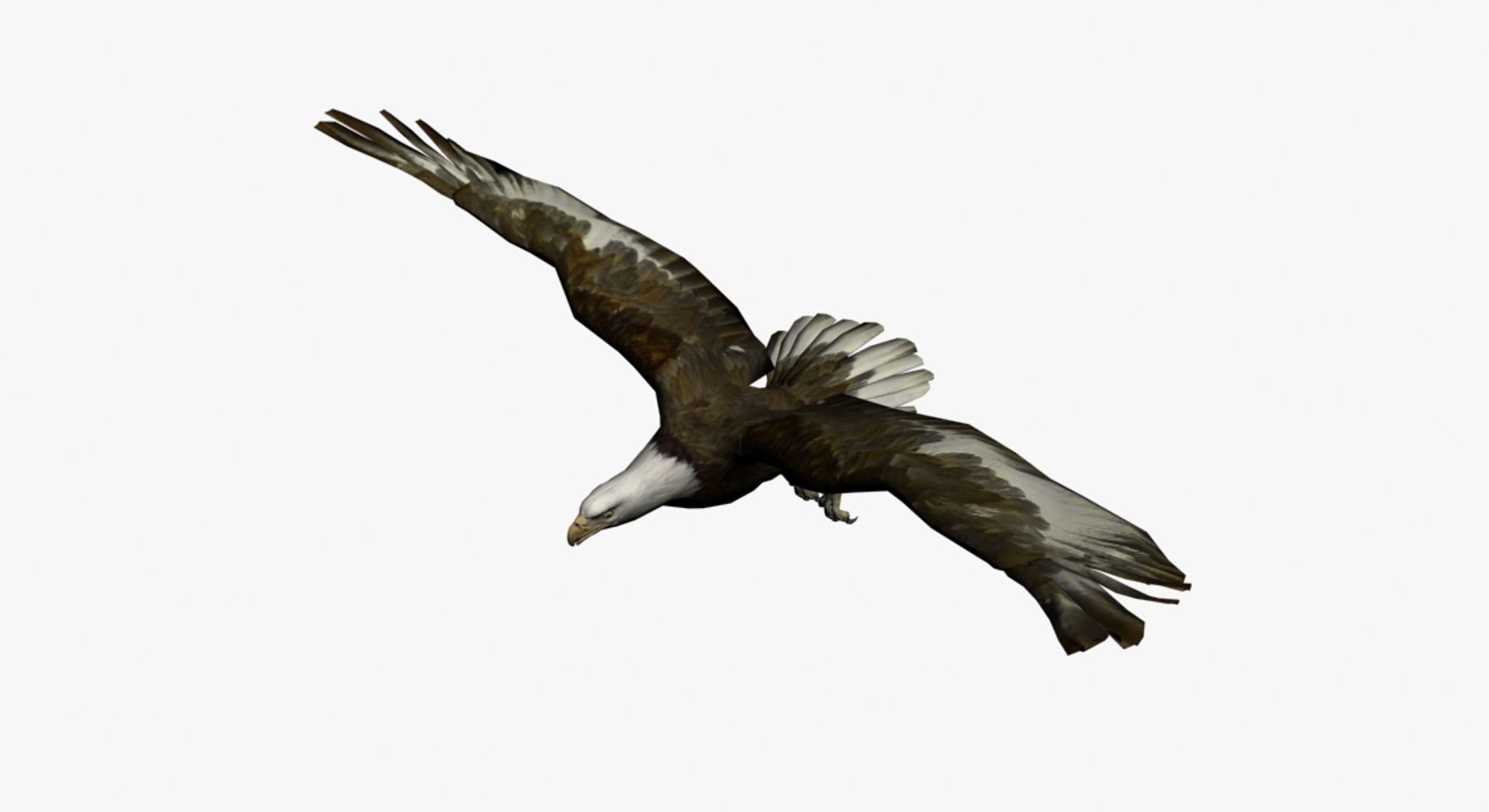 3D eagle bird animal model https://p.turbosquid.com/ts-thumb/3f/9kXvdI/isjV59Mz/eagle_camera01_thumbnail_7/jpg/1567514760/1920x1080/turn_fit_q99/eb41e83dab779f27a573dd10e4e6b7611a64caf7/eagle_camera01_thumbnail_7-1.jpg