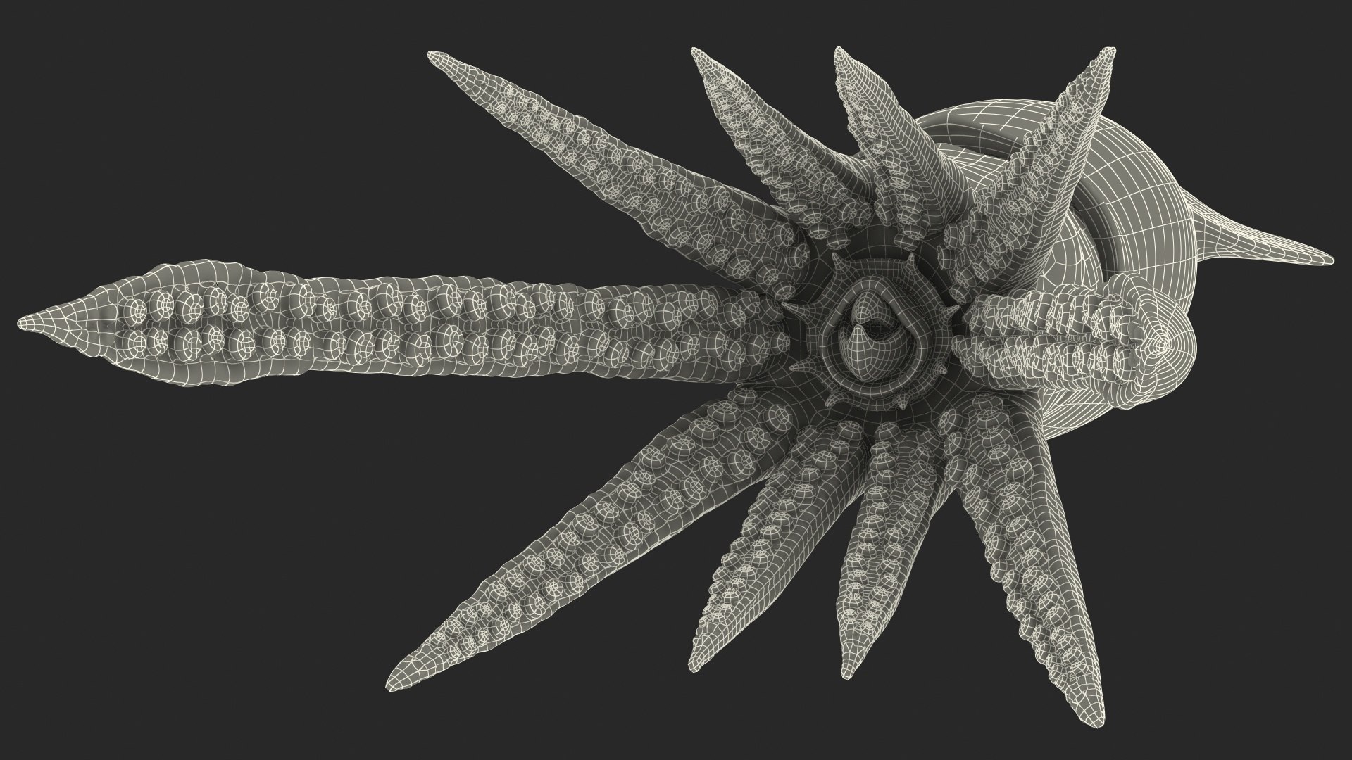 3D model arrow squid doryteuthis plei https://p.turbosquid.com/ts-thumb/3f/AiOp24/6FD0HhYq/arrowsquiddoryteuthispleiriggedc4dmodel023/jpg/1600868632/1920x1080/fit_q87/690997cfefd7b402a042ee71e8fe61f3d0e2e8e1/arrowsquiddoryteuthispleiriggedc4dmodel023.jpg