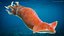 Arrow Squid Doryteuthis Plei Rigged for Modo